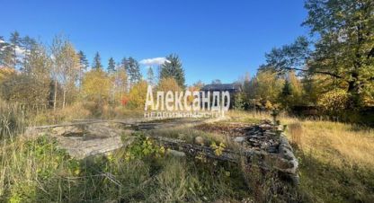 Купить земельный участок, Россия, г. Зеленогорск. Фотография №9