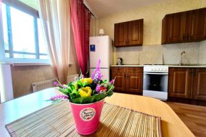 Сдам квартиру 1 комнатную с общей площадью 40м2, 9/27 эт., на улице Федора абрамова, г. Парголово, Санкт-Петербург, Россия, агентство Интернет-партнер