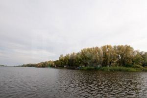 Продам земельный участок, на улице Зелёный остров, Волжский район, г. Саратов, Саратовская обл., Россия, агентство ФРК Этажи