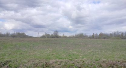 Купить земельный участок в г. Медвежья голова. Фотография №2