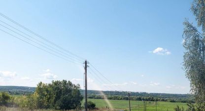 Купить земельный участок в г. Ступино, дище. Фотография №2