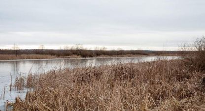 Купить земельный участок в г. Ступино, д головлино. Фотография №3