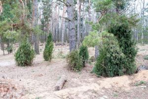 Продам земельный участок, на улице Киреевская, г. Ступино, д головлино, Московская обл., Россия, агентство АН "Ступино недвижимость"
