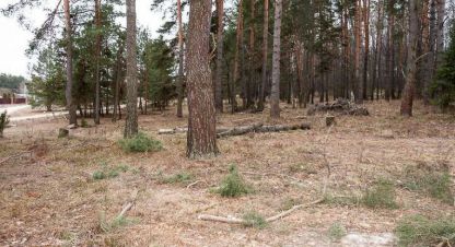 Продаётся земельный участок в г. Ступино, д головлино. Фотография №7