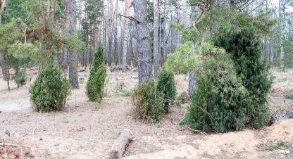 Продам земельный участок, на улице Киреевская, г. Ступино, д головлино, Московская обл., Россия, агентство АН Ступино недвижимость. Фотография №1