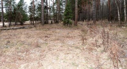 Купить земельный участок, Россия, г. Ступино, д головлино. Фотография №8