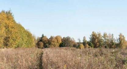 Купить земельный участок в г. Ступино, д дорки. Фотография №3