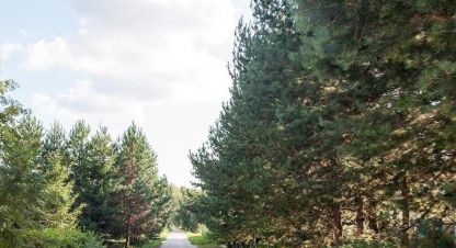 Продаётся земельный участок в г. Ступино, д бабеево. Фотография №6