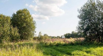 Купить земельный участок г. Ступино, д бабеево. Фотография №5