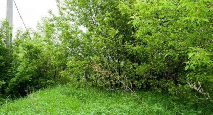 Купить дом в г. Кашира, д тарасково. Фотография №3