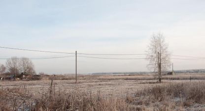 Купить земельный участок в г. Лаптево (аксиньинское с/п). Фотография №3