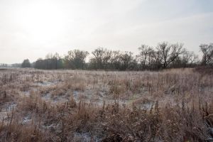 Продам земельный участок, г. Малое ивановское, Московская обл., Россия, агентство АН "Ступино недвижимость"
