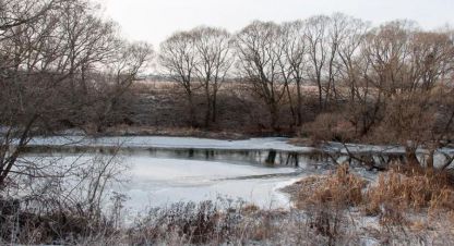 Купить земельный участок г. Малое ивановское. Фотография №4
