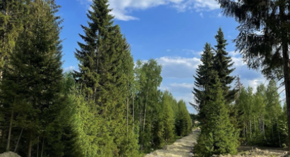 Купить земельный участок г. Черемыкино. Фотография №4