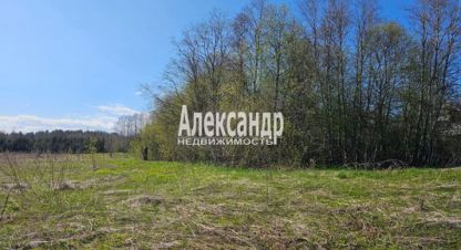 Купить земельный участок на улице Ихоярвенкюля п г. Ихоярвенкюля. Фотография №5