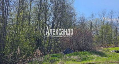 Купить земельный участок, Россия, г. Ихоярвенкюля. Фотография №8