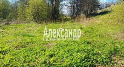 Купить земельный участок в г. Ихоярвенкюля. Фотография №2