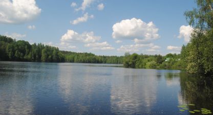 Купить земельный участок в г. Проккойла. Фотография №3