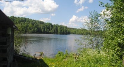 Купить земельный участок г. Проккойла. Фотография №5