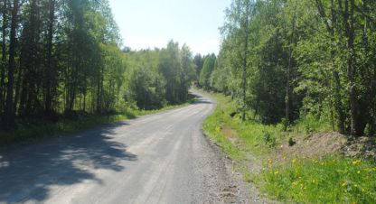 Купить земельный участок, Россия, г. Проккойла. Фотография №9