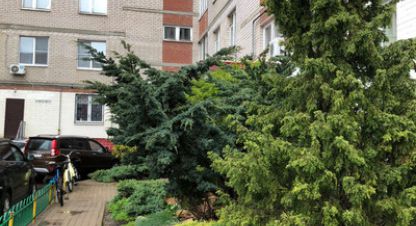 Купить квартиру в г. Великий Новгород. Фотография №3