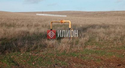 Купить земельный участок на улице Ветеранов г. Осипенко. Фотография №4