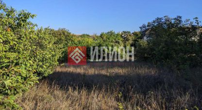Купить земельный участок на улице Склонный г. Энтузиаст  (бахчисарай). Фотография №4