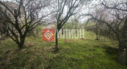 Купить земельный участок в г. Энтузиаст  (бахчисарай). Фотография №2