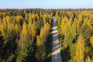 Продам земельный участок, г. Черемыкино, Ленинградская обл., Россия, агентство Интернет-партнер