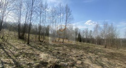 Купить земельный участок в г. Чеприно. Фотография №2