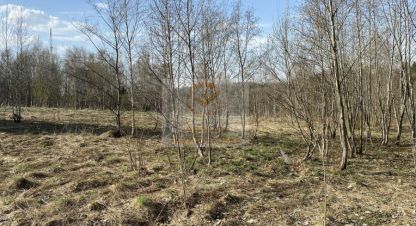 Купить земельный участок, Россия, г. Чеприно. Фотография №8
