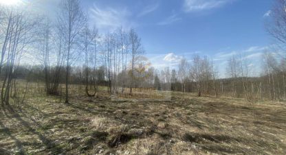 Купить земельный участок г. Чеприно. Фотография №4
