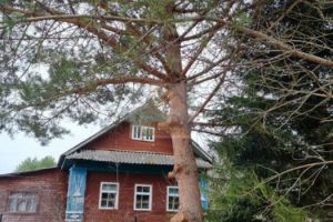 Продам дом 3-х комнатный с общей площадью 39.9м2, г. Колбасино, Московская обл., Россия, агентство Северное Подмосковье