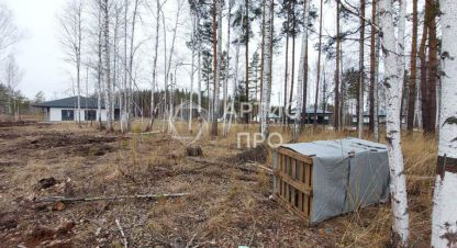 Купить земельный участок на улице Еловая г. Курганово. Фотография №5