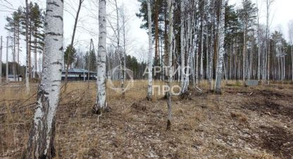 Продаётся земельный участок в г. Курганово. Фотография №6