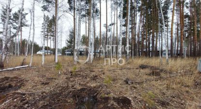 Продаётся земельный участок в г. Курганово. Фотография №7