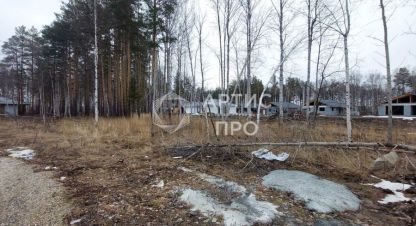 Купить земельный участок на улице Еловая г. Курганово. Фотография №4