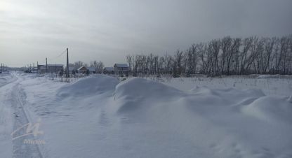 Купить земельный участок в г. Новый. Фотография №3
