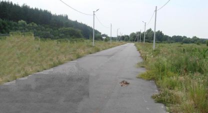 Продаётся земельный участок в г. Евминка. Фотография №7