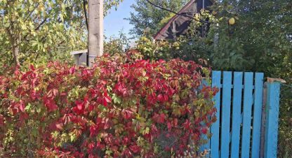 Купить земельный участок в г. Обухов . Фотография №2