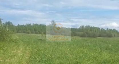 Купить земельный участок в г. Волково. Фотография №3