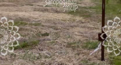 Купить земельный участок в г. Алексейково д.. Фотография №3