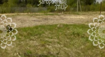 Купить земельный участок в г. Алексейково д.. Фотография №2