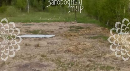 Купить земельный участок на улице Московская г. Алексейково д.. Фотография №5