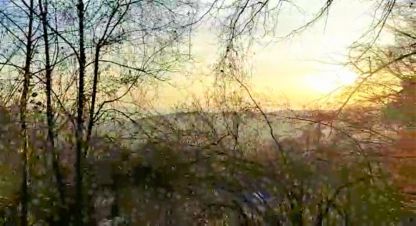 Продаётся земельный участок в г. Сочи. Фотография №6