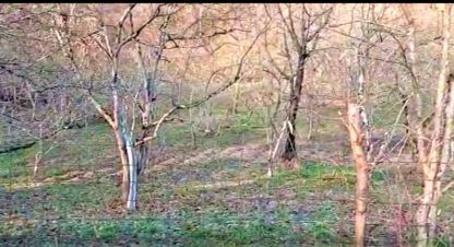 Купить земельный участок г. Сочи. Фотография №4