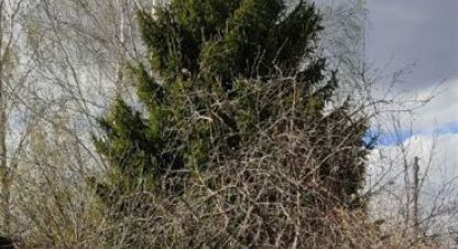 Продаётся дом в г. Кужутки. Фотография №6