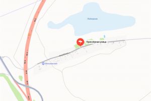 Продам земельный участок, г. Осетровка, Воронежская обл., Россия, агентство Сервис по недвижимости ИМЛС