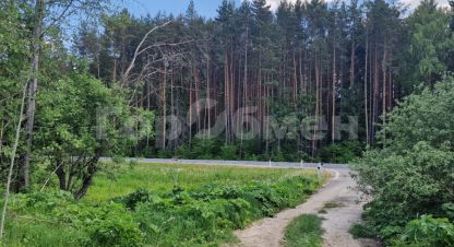 Купить земельный участок в г. Кудиново. Фотография №3