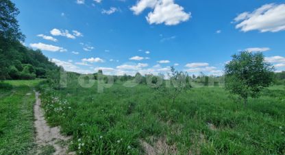 Купить земельный участок на улице Фруктовая г. Кудиново. Фотография №4